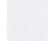 Papírová tapeta na zeď Shades of White 9423-19 9423-19V