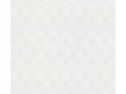 Přetíratelná vliesová tapeta na zeď Meistervlies 7 Create 38479-1 38479-1V