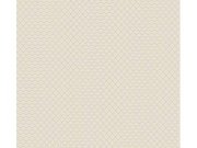 Vliesová tapeta na zeď Trendwall 37364-3 37364-3V