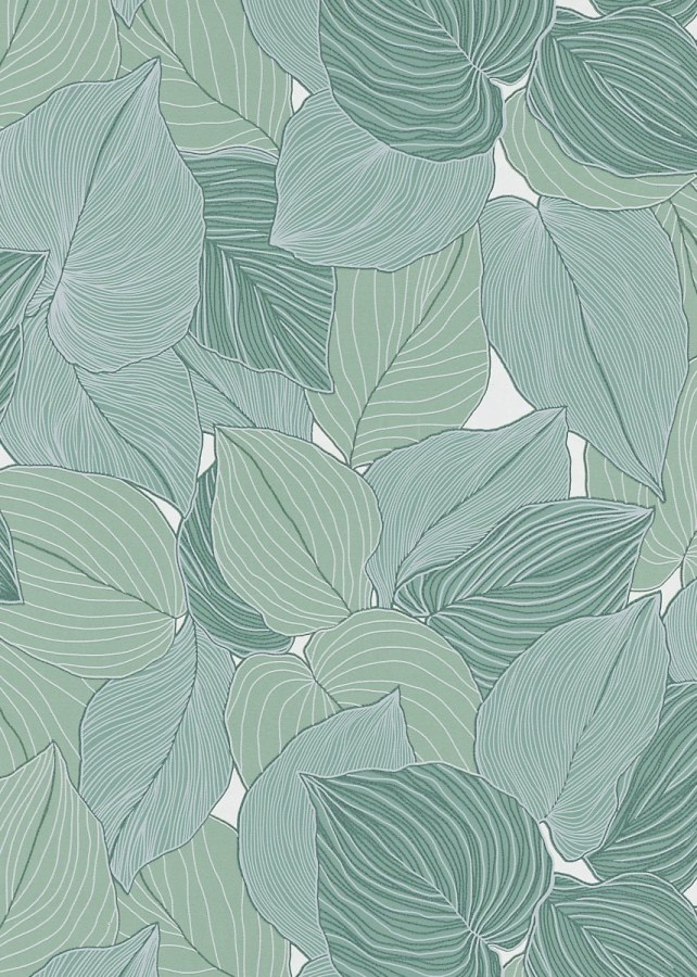 DIMEX 1038107V - MUSA