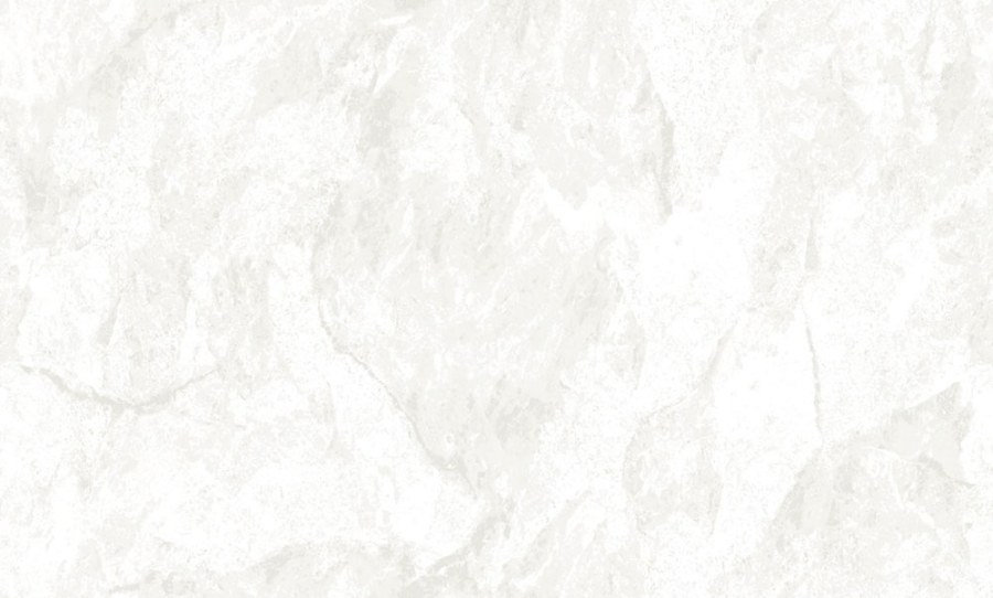 Vliesová tapeta na zeď, stříbrná, bílá, imitace štukové omítky, 6646, Metamorphosis, Parato by Cristiana Masi - Parato by Cristiana Masi