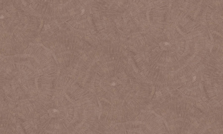 Vliesová tapeta na zeď, hnědá, obrazce, 6629, Metamorphosis, Parato by Cristiana Masi - Parato by Cristiana Masi