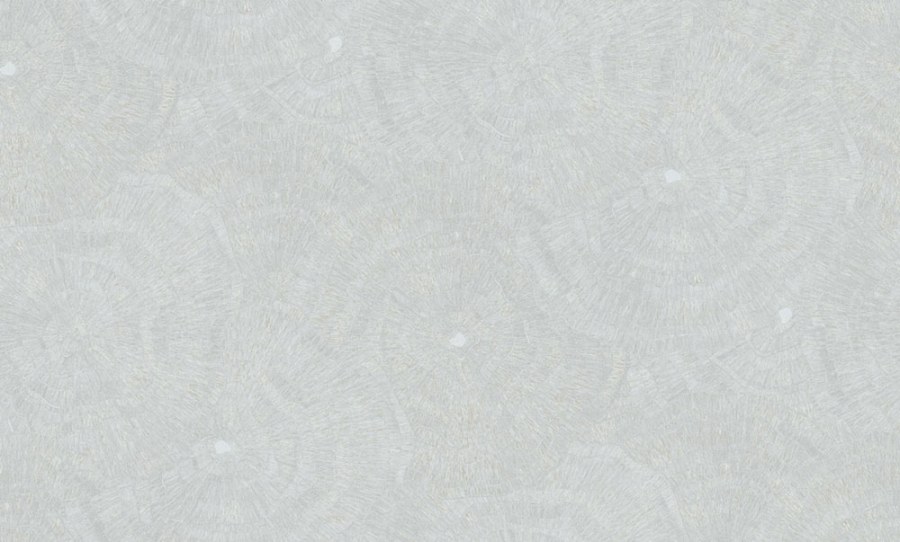 Vliesová tapeta na zeď, stříbrná, šedá, obrazce, 6626 Metamorphosis Parato by Cristiana Masi - Parato by Cristiana Masi