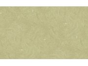 Vliesová tapeta na zeď, žlutá, zelená, obrazce, 6625, Metamorphosis, Parato by Cristiana Masi