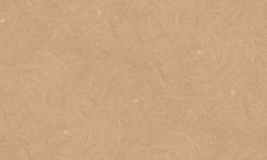 Vliesová tapeta na zeď, hnědá, obrazce, 6624, Metamorphosis, Parato by Cristiana Masi - Parato by Cristiana Masi