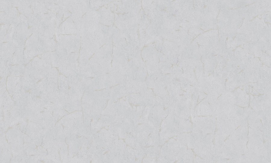 Vliesová tapeta na zeď, stříbrná, šedá, imitace stěrkové omítky, 6618, Metamorphosis, Parato by Cristiana Masi - Parato by Cristiana Masi