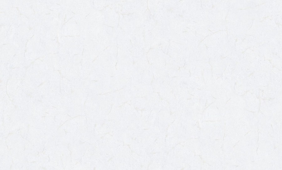 Vliesová tapeta na zeď, stříbrná, bílá, imitace stěrkové omítky, 6611, Metamorphosis, Parato by Cristiana Masi - Parato by Cristiana Masi