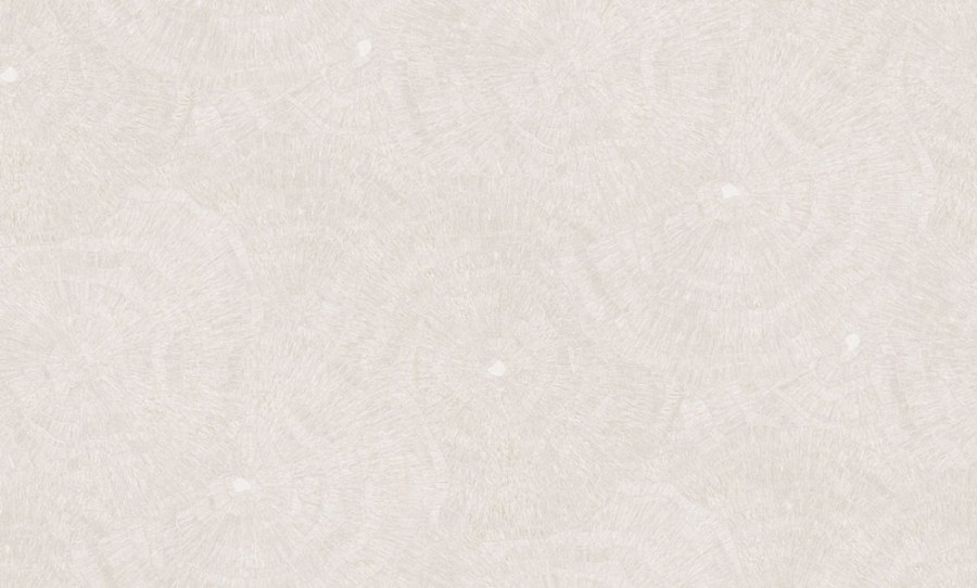 Vliesová tapeta na zeď, stříbrná, šedá, obrazce, 6621, Metamorphosis, Parato by Cristiana Masi - Parato by Cristiana Masi