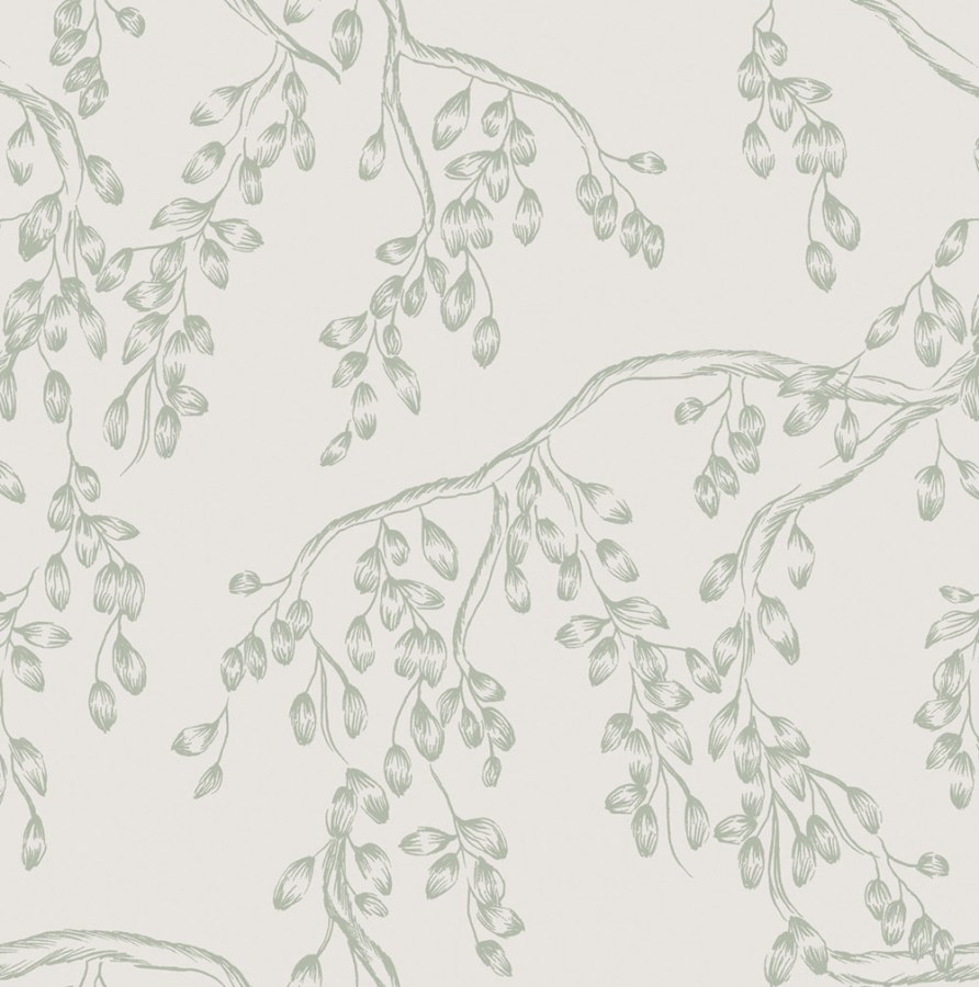 Vliesová tapeta na zeď, bílo-zelená, větvičky, 140333, Laura Ashley 4 - Laura Ashley