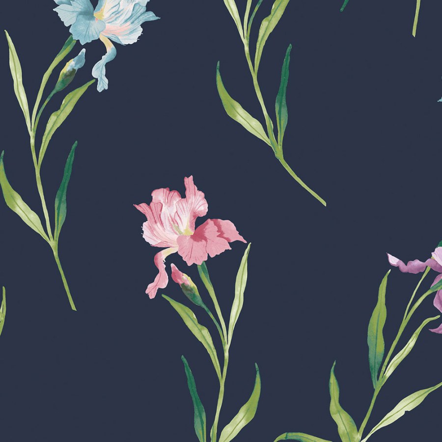 Vliesová tapeta na zeď, modrá, růžová, kosatce, 127399, Laura Ashley 4 - Laura Ashley