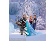 Fototapeta vliesová AG Ledové Království FTDNXL-5139 | 180x202 cm Fototapety vliesové