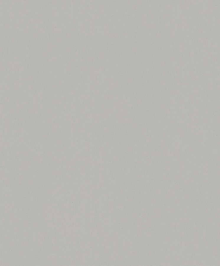 Vliesová tapeta na zeď, španělská šedá, 36469, Whisper, Marburg