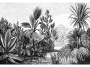 Flisová černoBijela obrazová tapeta - džungle, palmy 158953, 350x279cm, Paradise, Esta