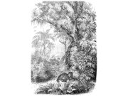 - Flisová černoBijela obrazová tapeta - leopard v džungli - 158945, 200x279cm, Paradise, Esta Flisová černoBijela obrazová tapeta - leopard v džungli - 158945, 200x279cm, Paradise, Esta