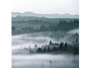 - Flisová obrazová tapeta, les, stromy, 158910, 2,79 x 2,79 m, Scandi cool, Esta Flisová obrazová tapeta, les, stromy, 158910, 2,79 x 2,79 m, Scandi cool, Esta