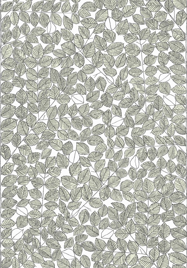 Tapety Yara - Borastapeter - Vliesová tapeta na zeď, zelená, černá, listy, 1769, Scandinavian Designers, Borastapeter Vliesová tapeta na zeď, zelená, černá, listy, 1769, Scandinavian Designers, Borastapeter - Borastapeter
