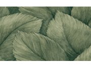 Luxusní vliesová tapeta na zeď, zelená, krémová, listy, KE3104, Keen, Grandeco