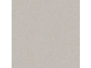Vliesová tapeta na zeď, světle šedá, imitace dřeva, RE521102, Renaissance, Design Id