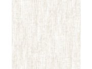 Vliesová tapeta na zeď, stříbrno-šedá, imitace hrubé látky, RE521021, Renaissance, Design Id