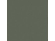 Tapety Yara Borastapeter - Vliesová tapeta na zeď, mechová zelená, 7592, Pigment, Borastapeter Vliesová tapeta na zeď, mechová zelená, 7592, Pigment, Borastapeter