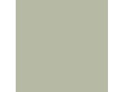 Vliesová tapeta na zeď, světle zelená, 7568, Pigment, Borastapeter Tapety Yara - Borastapeter