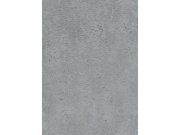 DIMEX 1038534V