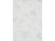 DIMEX 1023831V