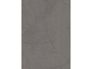 DIMEX 1031937V