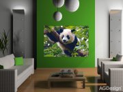 Fototapeta AG Panda FTNM-2610 | 160x110 cm Fototapety vliesové - Vliesové fototapety AG