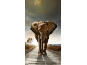 Foto závěs Elephant FCSL-7507, 140 x 245 cm Závěsy