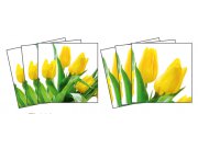 Samolepicí dekorace na kachličky Tulips TI-008, 15x15 cm Samolepky na kachličky