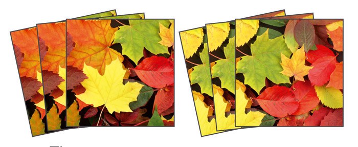 Samolepicí dekorace na kachličky Leaves TI-014, 15x15 cm